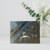 Kleinkind Opossum 1 Postkarte (Stehend Vorderseite)