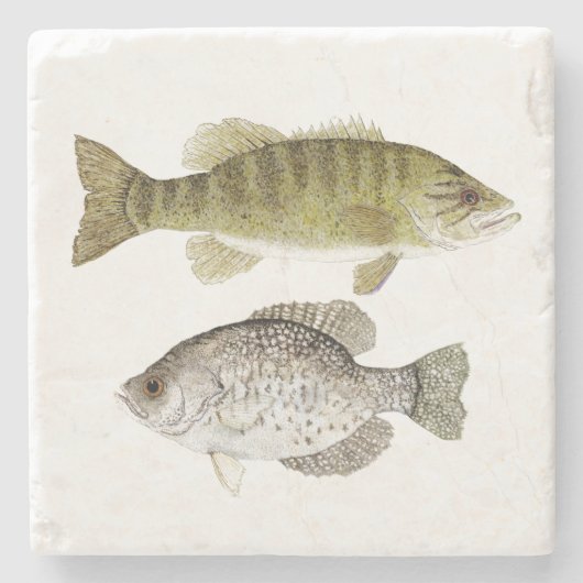 Kleinmäuliger Bass und Crappie Untersetzer (Vorderseite)