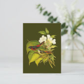 Kleinminivet Postkarte (Stehend Vorderseite)