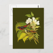 Kleinminivet Postkarte (Vorne/Hinten)