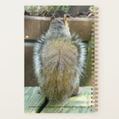 Kleinplaner Planer (Rückseite)