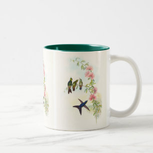 Kleinschnabel-Dornrücken von John Gould Zweifarbige Tasse