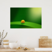 Kleintiere - Elefant Poster (Küche)