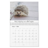 Kleintiere Kalender (Mär 2026)