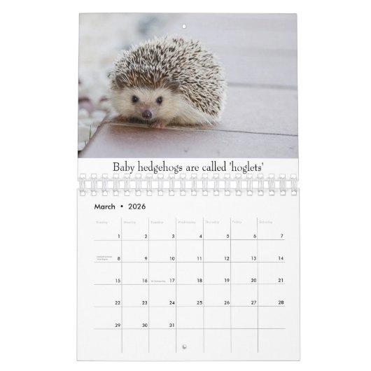 Kleintiere Kalender (Mär 2026)