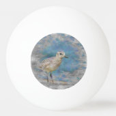 Kleinvogel Tischtennisball (Rückseite)