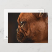 Klementine Postkarte (Vorne/Hinten)