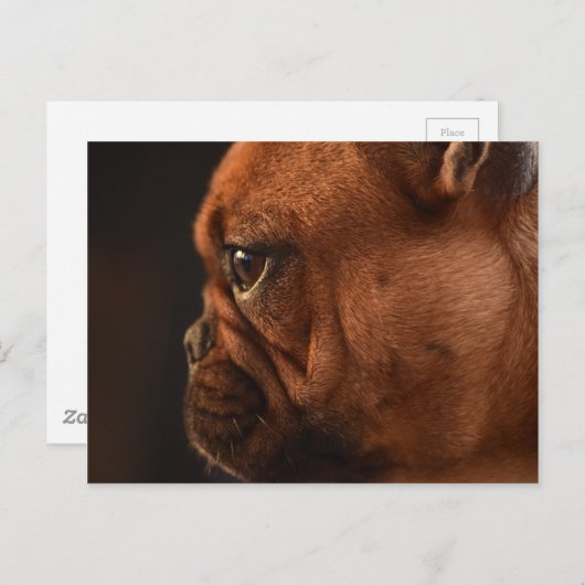 Klementine Postkarte (Vorne/Hinten)