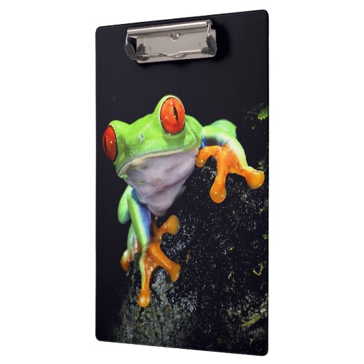 Klemmbrett des Frosch-3 (Links)