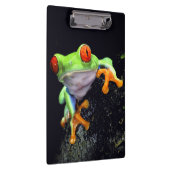 Klemmbrett des Frosch-3 (Rechts)