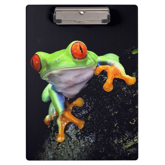 Klemmbrett des Frosch-3 (Vorderseite)