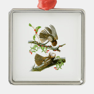 Klemme-wurde Vögel Witwen-Johns Audubon von Silbernes Ornament