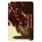 Kleopatras Nadel, Zentralpark NYC Magnet (Vertikal)