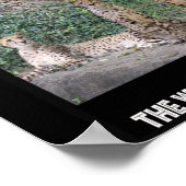 KLETTE - GEBÄUDE FÜR GESCHWINDIGKEIT POSTER (Ecke)