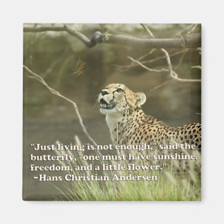 KLETTE UND SCHALTFLÄCHE MAGNET