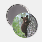 Kletterbären Magnet (Vorderseite/Rückseite)