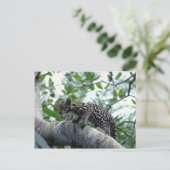 Kletterbaum Postkarte (Stehend Vorderseite)