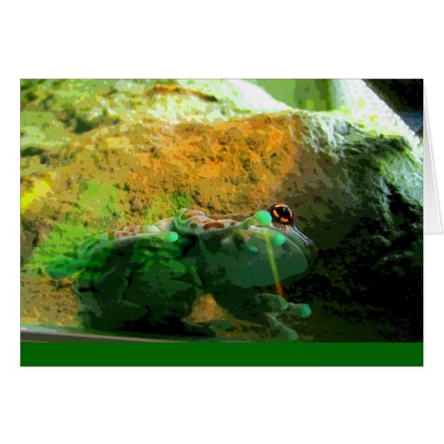 Kletterfrosch CB (Vorderseite (Horizontal))