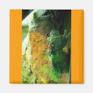 Kletterfrosch CB Magnet