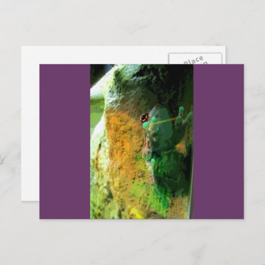 Kletterfrosch CB Postkarte (Vorne/Hinten)