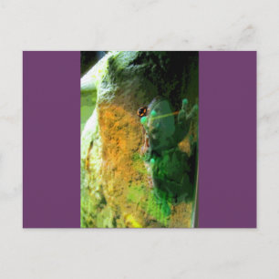 Kletterfrosch CB Postkarte