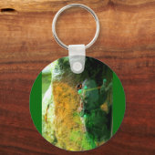 Kletterfrosch CB Schlüsselanhänger (Vorderseite)