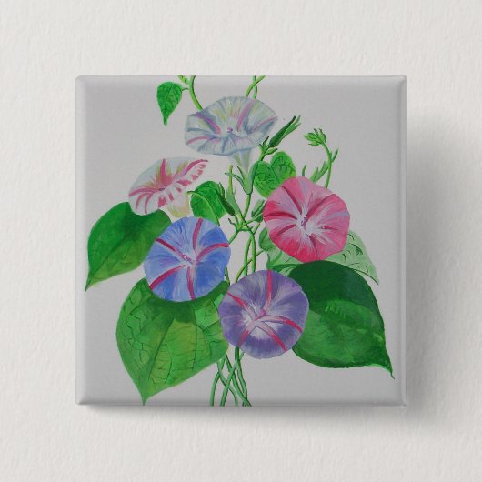 Klettergarten Bellinzona Button (Vorderseite)