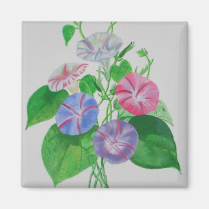 Klettergarten Bellinzona Magnet