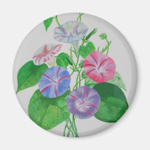 Klettergarten Bellinzona Magnet