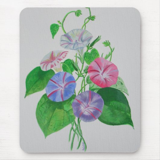 Klettergarten Bellinzona Mousepad (Vorne)