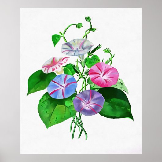 Klettergarten Bellinzona Poster (Vorne)