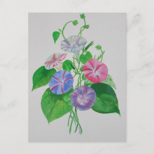 Klettergarten Bellinzona Postkarte