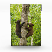Klettergarten Fotoblock (Vorderseite)