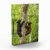 Klettergarten Fotoblock (Links)