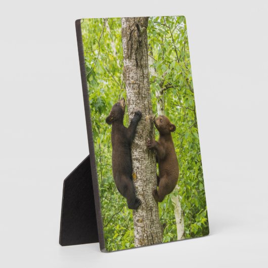 Klettergarten Fotoplatte (Seite)