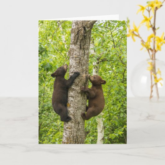 Klettergarten Karte (Gelbe Blume)