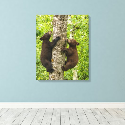 Klettergarten Leinwanddruck (Insitu (Holzboden))