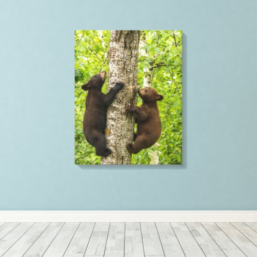 Klettergarten Leinwanddruck (Insitu (Holzboden))