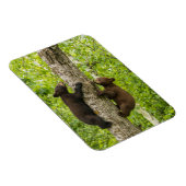 Klettergarten Magnet (Rechte Seite)