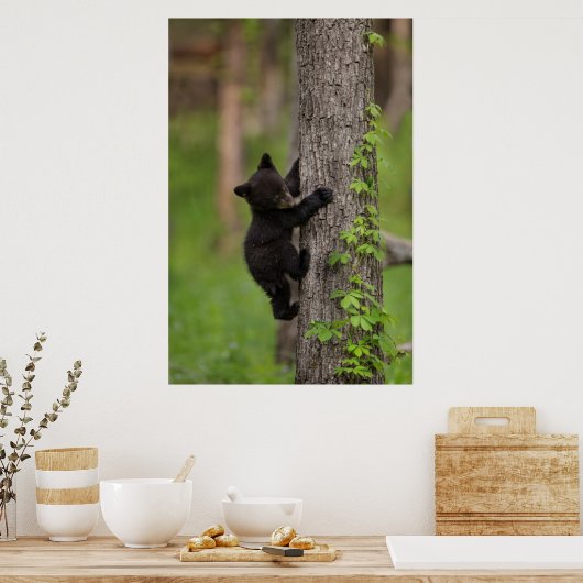 Klettergarten Poster (Küche)