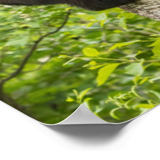 Klettergarten Poster (Ecke)