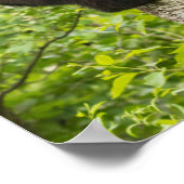 Klettergarten Poster (Ecke)