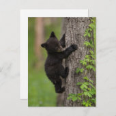 Klettergarten Postkarte (Vorne/Hinten)