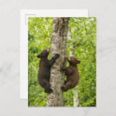 Klettergarten Postkarte (Vorne/Hinten)