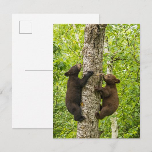 Klettergarten Postkarte (Vorne/Hinten)