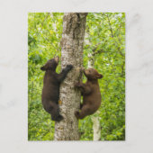 Klettergarten Postkarte (Vorderseite)