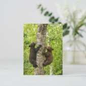 Klettergarten Postkarte (Stehend Vorderseite)