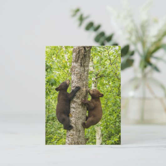 Klettergarten Postkarte (Stehend Vorderseite)