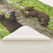 Klettergarten Sherpadecke (3/4)