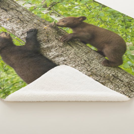 Klettergarten Sherpadecke (3/4)